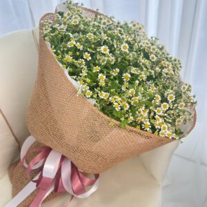 ช่อเดซี่โทนอุ่นละไม